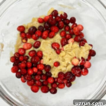 Naked Cranberry Pie 7 Fresh cranberries added to batter in glass bowl.