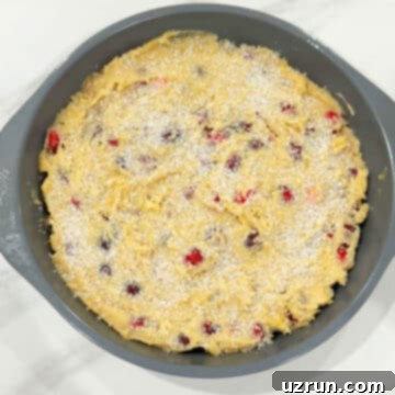 Naked Cranberry Pie 10 Granulated sugar sprinkled on top of pie batter.