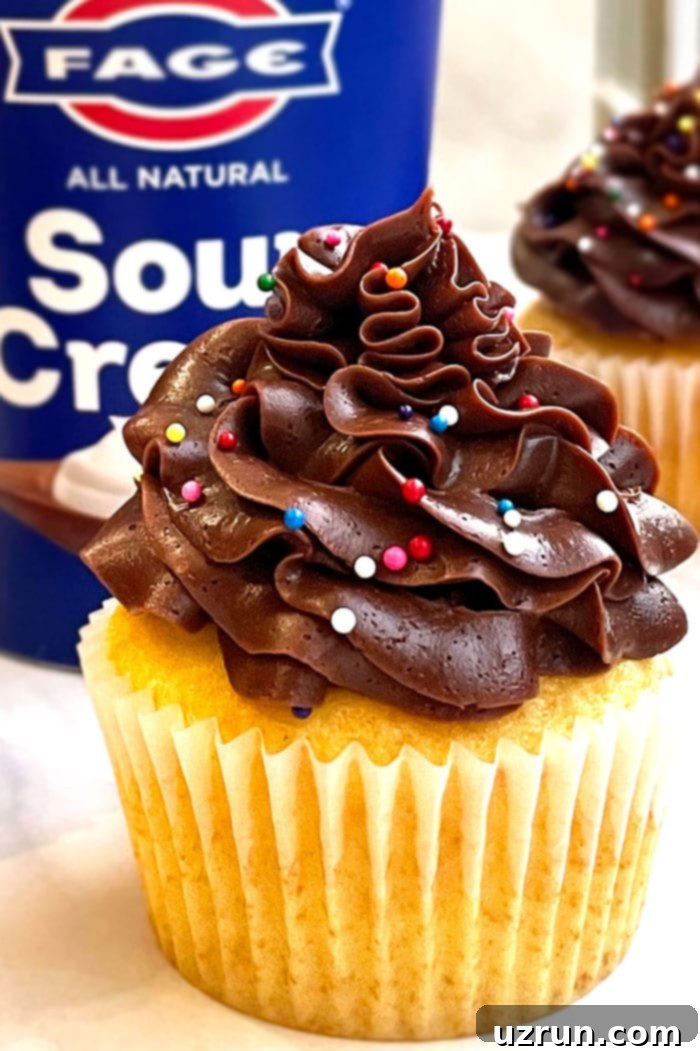 Chocolate Frosted Yellow Butter Cupcake on White Background 