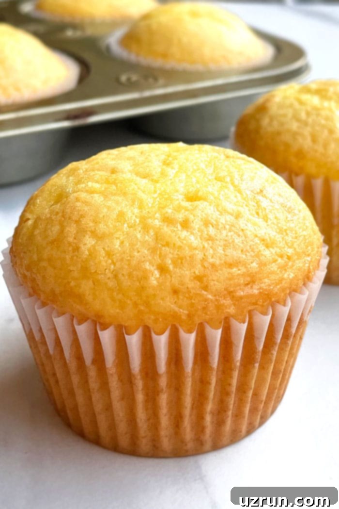 Yellow Cupcakes With Chocolate Frosting 3 Unfrosted Yellow Cupcake on White Background