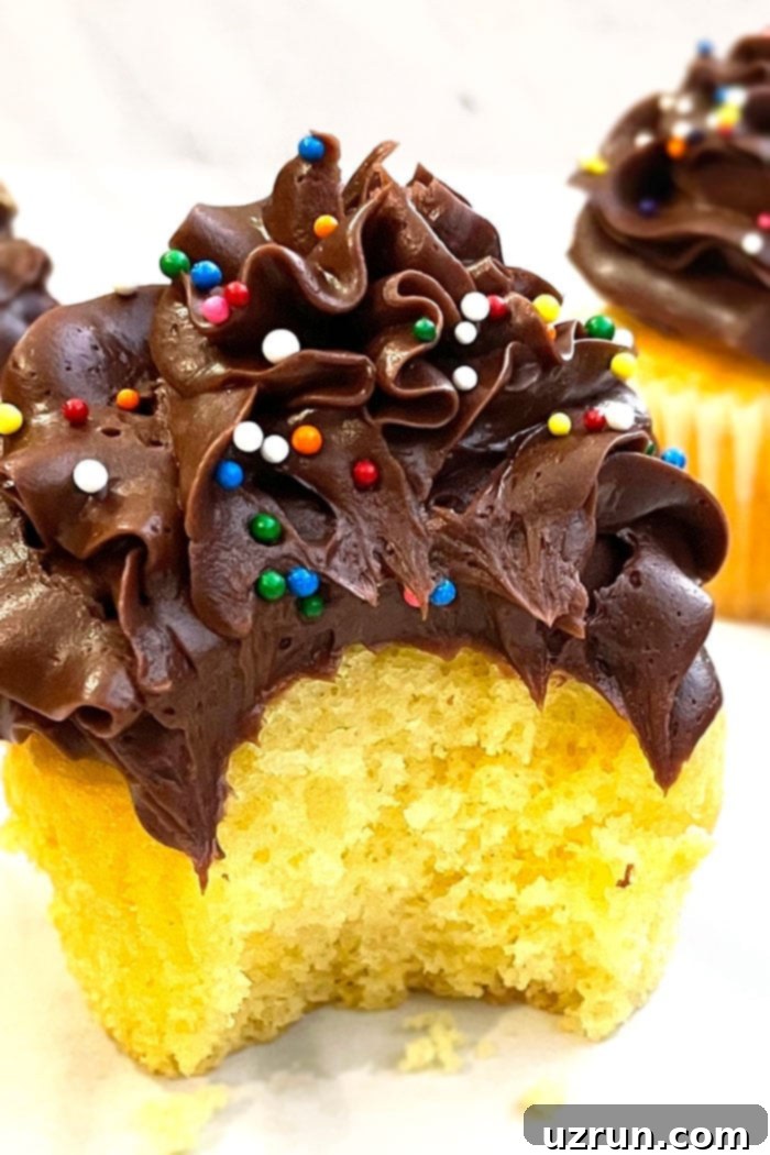 Yellow Cupcakes With Chocolate Frosting 6 Best Homemade Yellow Cupcakes with Chocolate Icing- A bite Removed