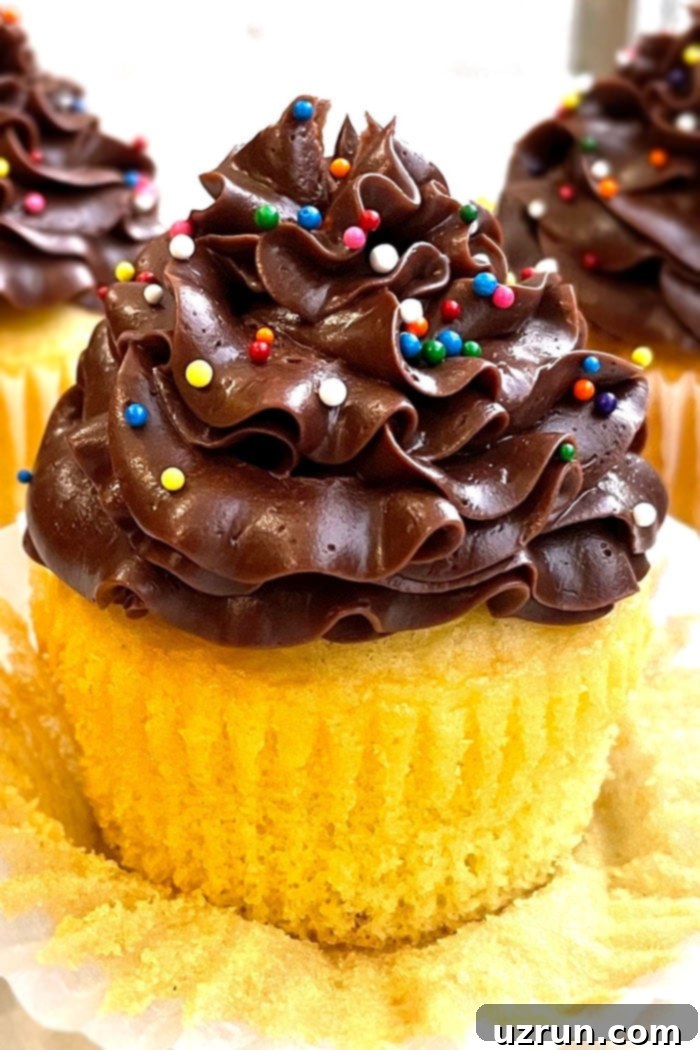 Yellow Cupcakes With Chocolate Frosting 7 Homemade Butter Cupcakes with Chocolate Buttercream Frosting- Cupcake Liner Removed