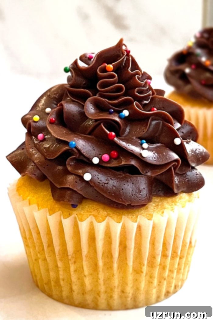 Yellow Cupcakes With Chocolate Frosting 8 Easy Yellow Cupcakes with Chocolate Frosting and Sprinkles on White Background