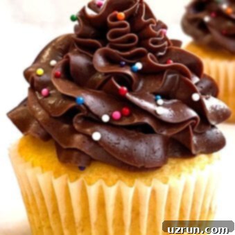 Yellow Cupcakes With Chocolate Frosting 9 Easy Homemade Butter Yellow Cupcakes With Chocolate Frosting and Sprinkles on White Background