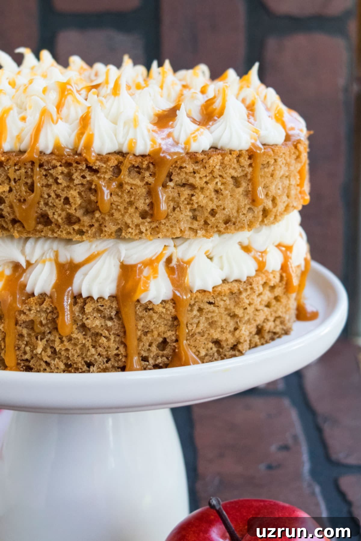 Easy Applesauce Cake 5 Old fashioned Spiced Applesauce Layer Cake- Closeup Shot of Layers