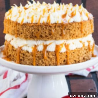 Easy Applesauce Cake 6 Easy Applesauce Cake With Cake Mix on White Cake Stand