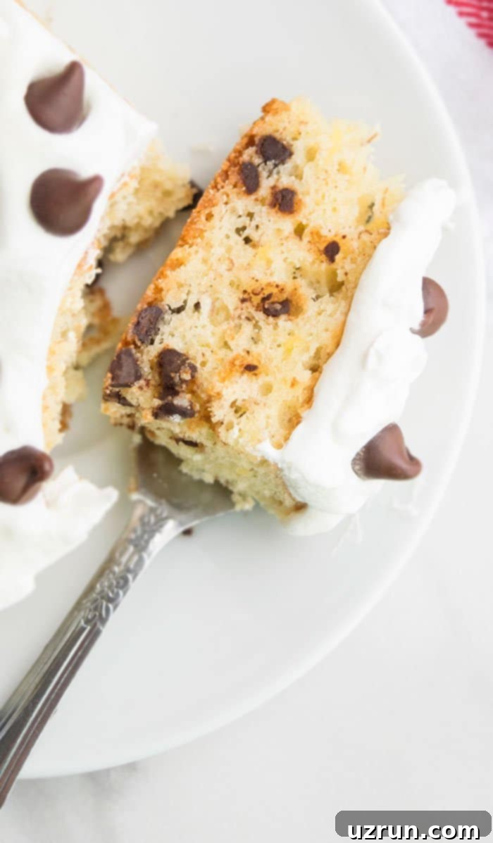 Banana Chocolate Chip Cake Recipe with Cream Cheese Frosting - a close-up of a slice