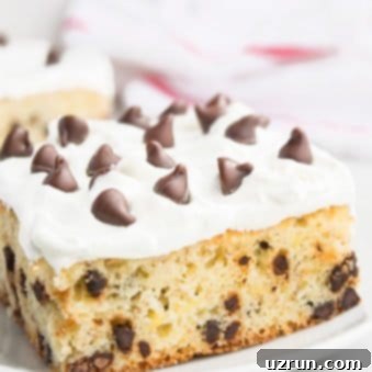Chocochip Banana Bliss 5 Easy Banana Chocolate Chip Cake (Sheet Cake) on White Dish.