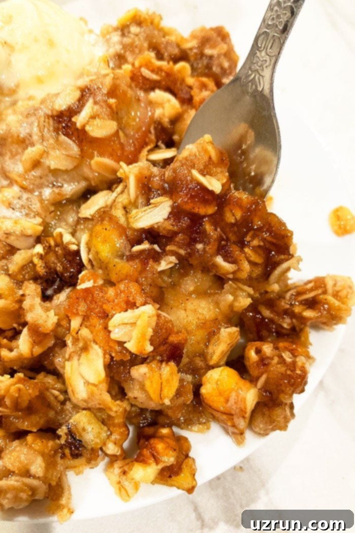 Effortless Banana Crumble 4 Spoonful of Homemade Banana Crisp in White Plate