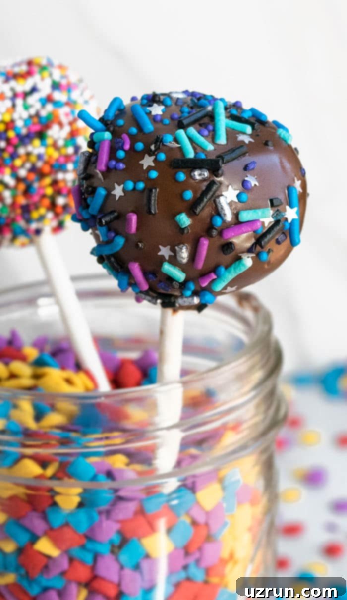 Bite Sized Bliss Creating Cake Pops and Cake Balls 5 Homemade Cake Pops Recipe