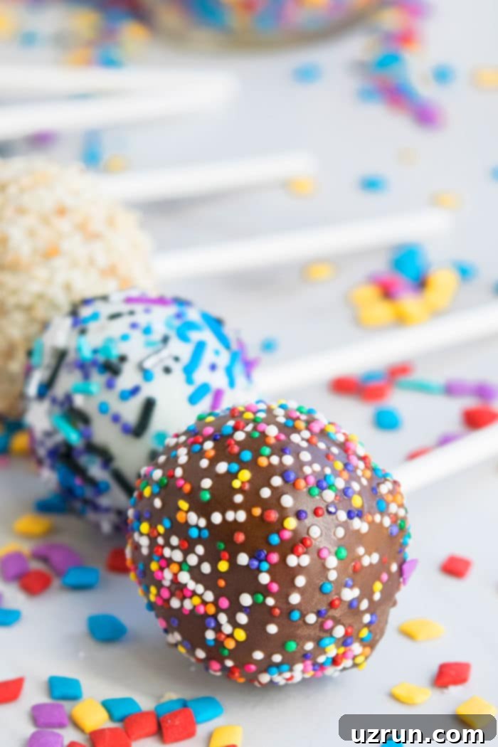 Bite Sized Bliss Creating Cake Pops and Cake Balls 6 Easy Homemade Chocolate Cake Pops Recipe/ Tutorial