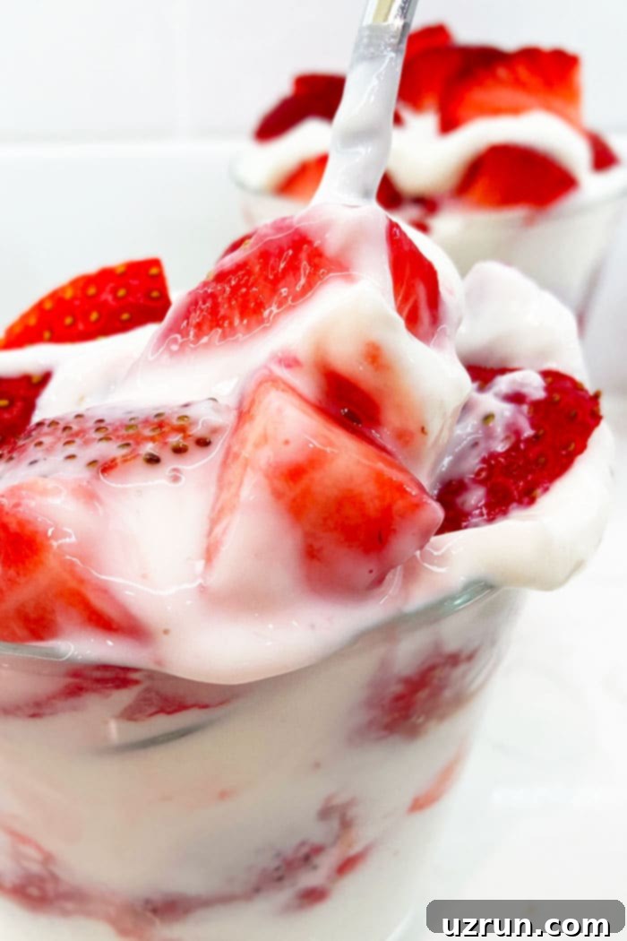 Creamy No-Bake Strawberry Treat 3 Spoonful of Fresh Strawberries with Vanilla Cream in Glass Cup, ready to eat