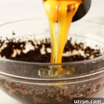 Dark Chocolate Cherry Fudge Brownies 6 Eggs being added to mixture.