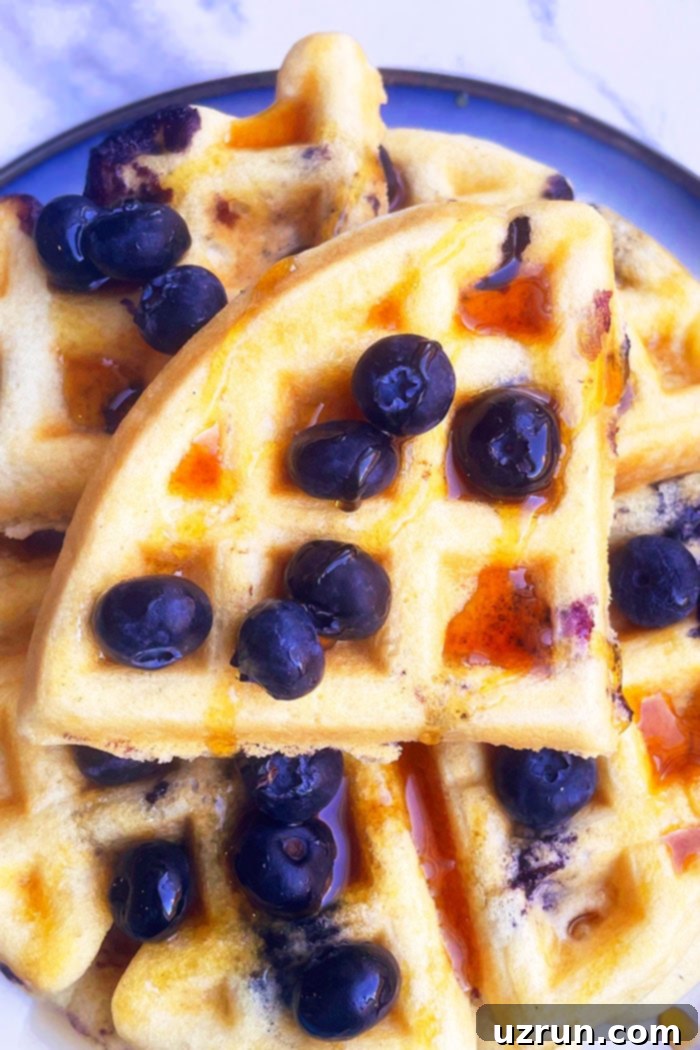 Lemon Blueberry Waffles Fresh or Frozen Berry Bliss 3 Quarter of a Round Waffle with Blueberries and Maple Syrup