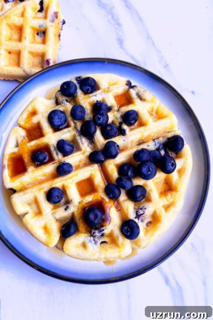 Lemon Blueberry Waffles Fresh or Frozen Berry Bliss 4 Blueberry Belgian Waffles on White Plate with Light Blue Background- Overhead Shot