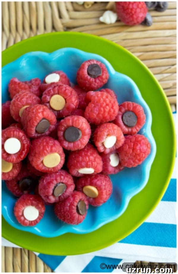 Chocolate Kissed Raspberries 3 Easy Homemade Chocolate Raspberries in Blue Plate