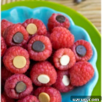 Chocolate Kissed Raspberries 4 Healthy Easy Chocolate Covered Raspberries in Blue Dish.