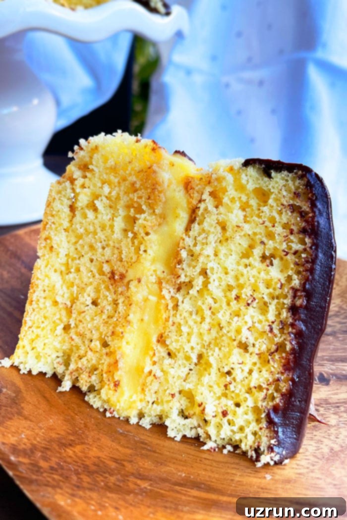 Easy Boston Cream Pie 4 A perfectly sliced Boston Cream Pie on a brown plate, revealing the golden cake, white pudding, and dark chocolate ganache layers