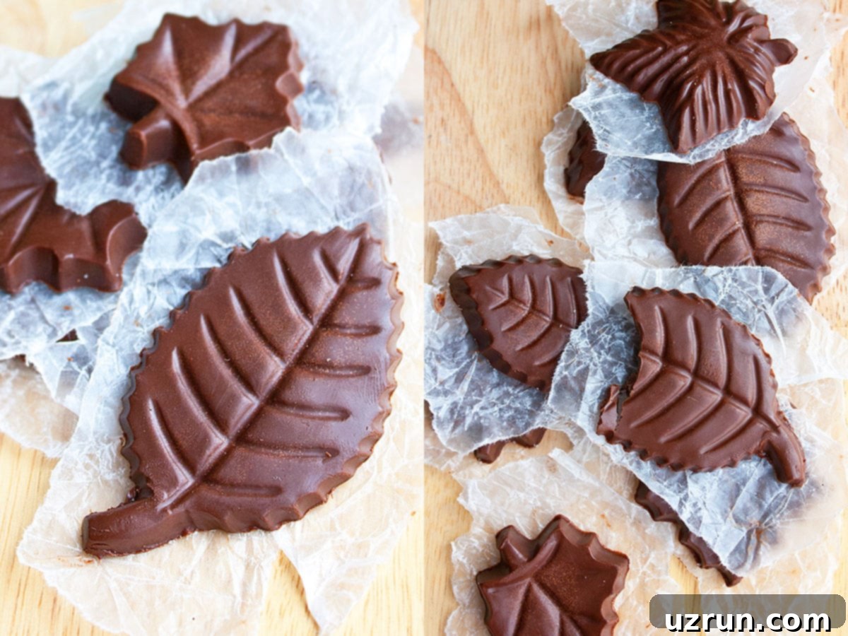 Craft Your Own Chocolate Bars Dark Milk and White Flavors 7 Chocolate Leaves From Mold on Wood Background.