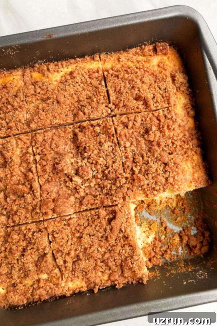 Easy Cinnamon Crumb Cake Made With Cake Mix in Square Pan