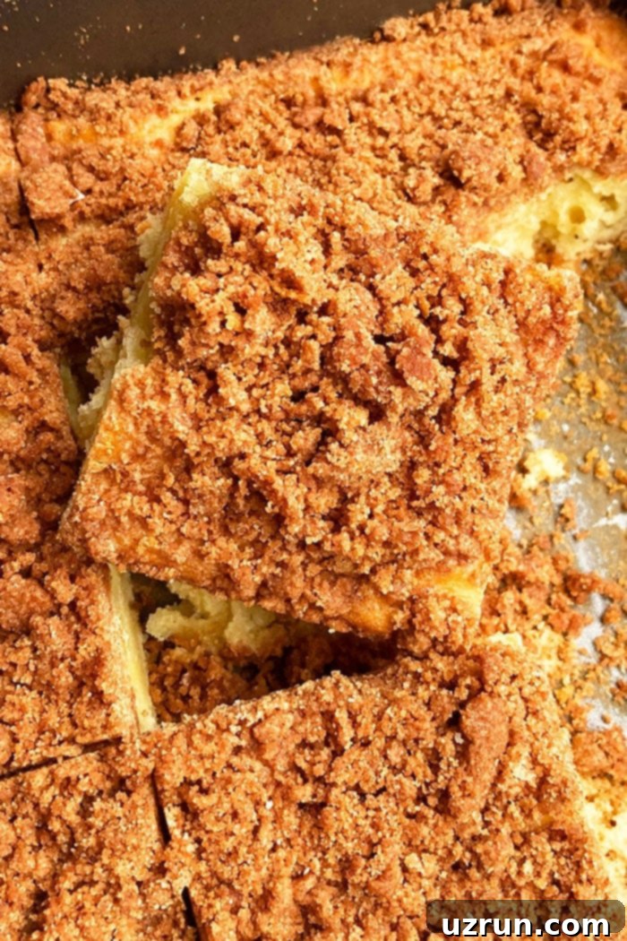 Effortless Cake Mix Crumb Cake 4 Closeup Shot of Slice of Homemade Crumble Cake