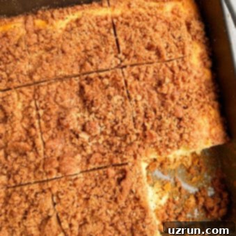 Effortless Cake Mix Crumb Cake 6 Easy Cinnamon Crumb Cake Made With Cake Mix in Square Pan
