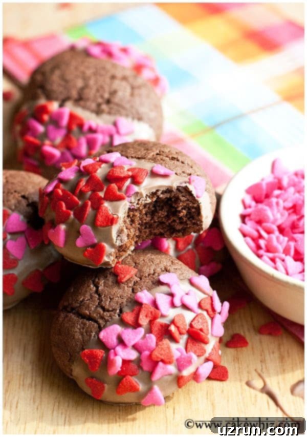 Easy Chocolate Cake Mix Cookies- Partially Eaten