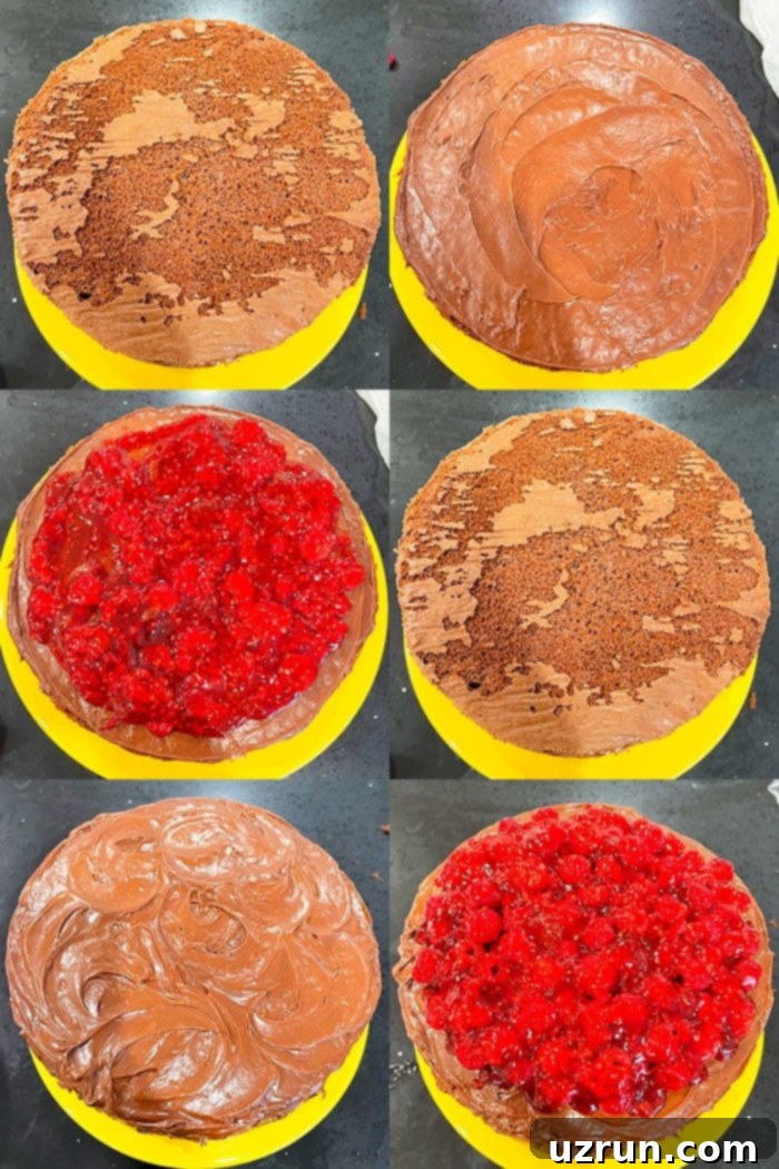 Luscious Chocolate Raspberry Cake Made Easy 5 Collage Image With Step By Step Pictures on How to Make Chocolate and Raspberry Cake With Cake Mix