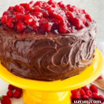 Luscious Chocolate Raspberry Cake Made Easy 6 Easy Chocolate Raspberry Cake With Ganache Frosting on Yellow Cake Stand