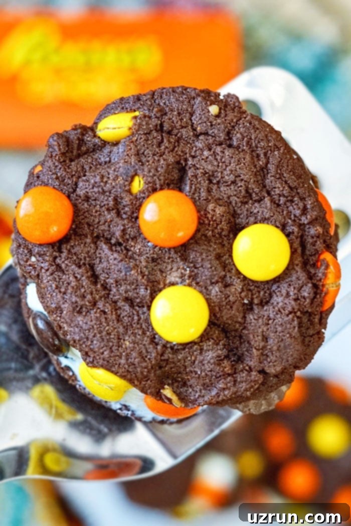 Closeup Shot of Easy Soft and Chewy Reeses Cookies With Cake Mix on Large Spatula