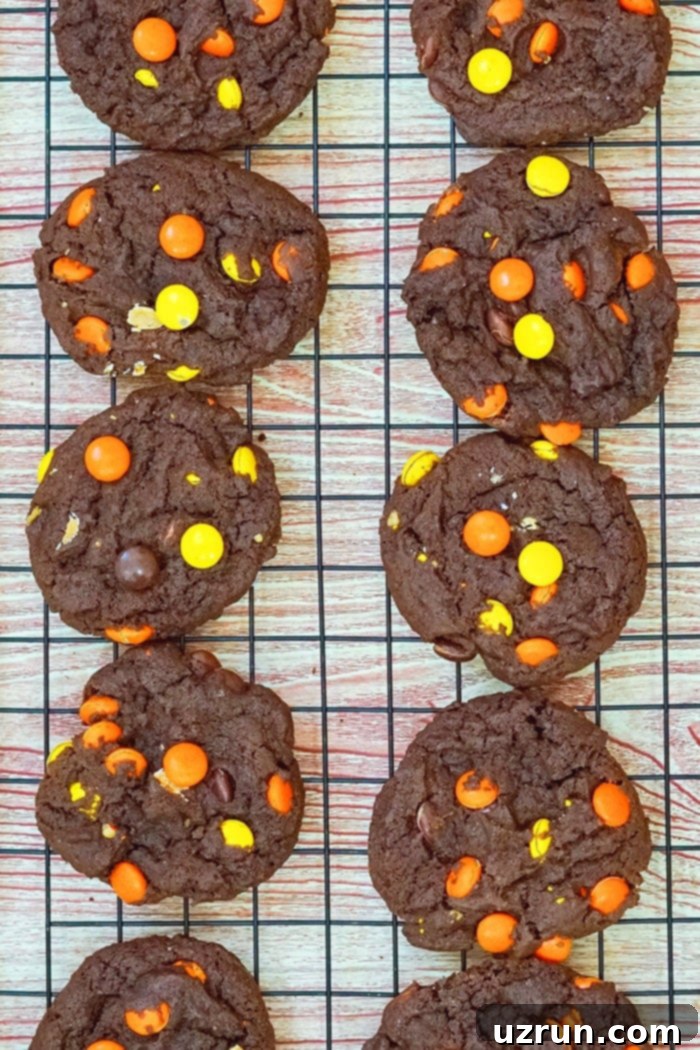 Easy Reeses Cake Mix Cookies 5 Chocolate Peanut Butter Cookies With Reeses Pieces on Black Cooling Rack- Overhead Shot