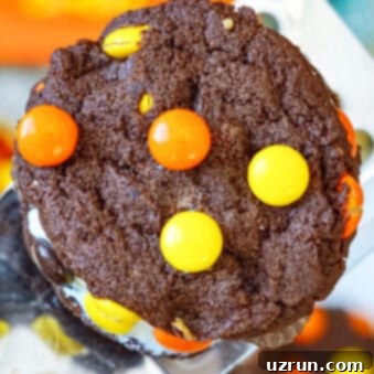 Easy Reeses Cake Mix Cookies 6 Closeup Shot of Easy Soft and Chewy Reeses Cookies With Cake Mix on Large Spatula