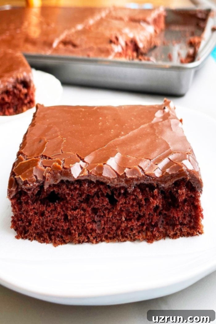 Slice of Texas Sheet Cake With Chocolate Glaze on White Plate