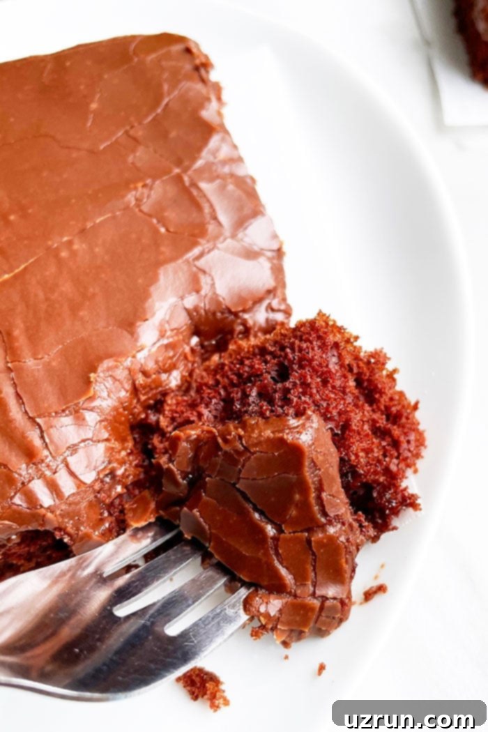 Texas Sheet Cake From Scratch 4 Fork Full of Easy Chocolate Cake With Chocolate Glaze