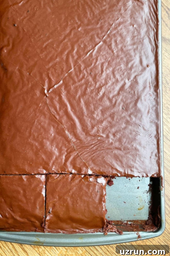 Texas Sheet Cake From Scratch 5 Easy Texas Chocolate Sheet Cake With Buttermilk in Half Sheet Pan With One Slice Removed- Overhead Shot