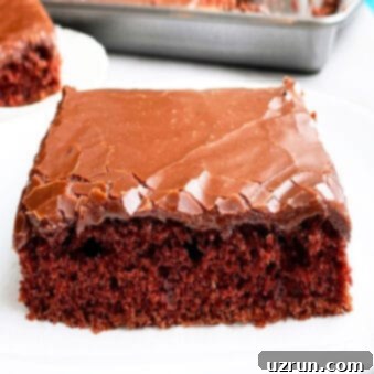 Texas Sheet Cake From Scratch 6 Slice of Texas Sheet Cake With Chocolate Glaze on White Plate