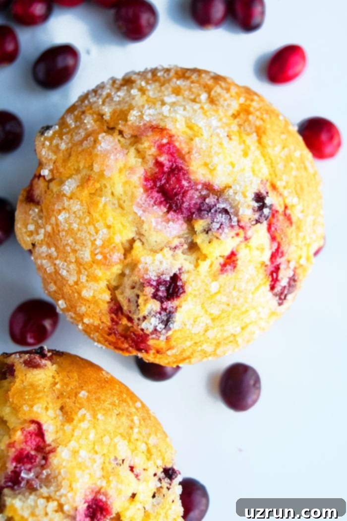 Pillowy Soft Cranberry Orange Muffins 3 Fluffy Orange Muffins- Overhead Shot
