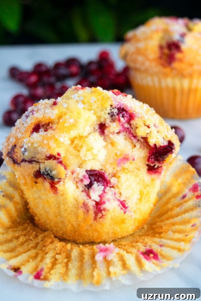 Pillowy Soft Cranberry Orange Muffins 4 Soft Cranberry Muffins With One Bite Removed on White Background