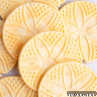 Thin and Crispy Pizzelle Cookies 5 Closeup Shot of Lots of Italian Pizzelle Cookies on White Background