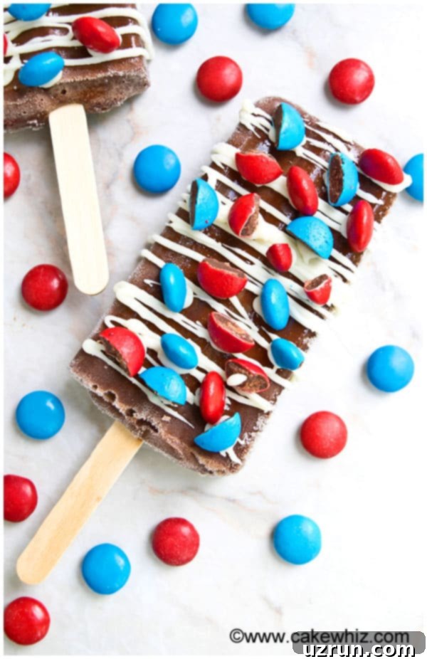 Handcrafted Chocolate Fudgesicles 4 Quick and Easy Healthy Chocolate Fudgesicles Recipe