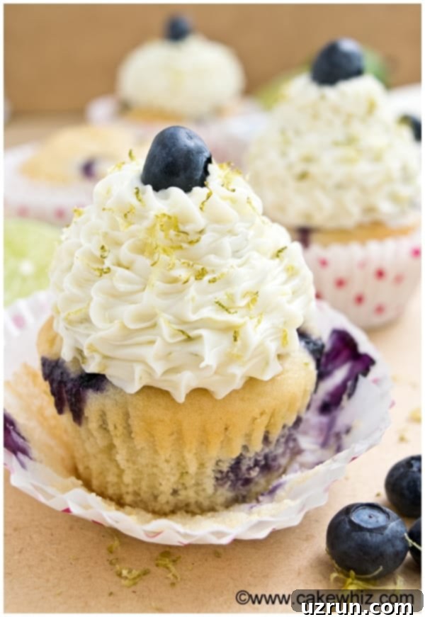 Blueberry Cupcakes