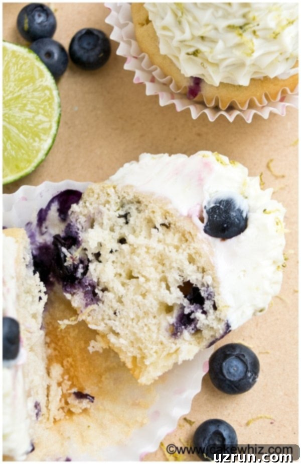 Berry Burst Cupcakes 3 Lemon Blueberry Cupcakes
