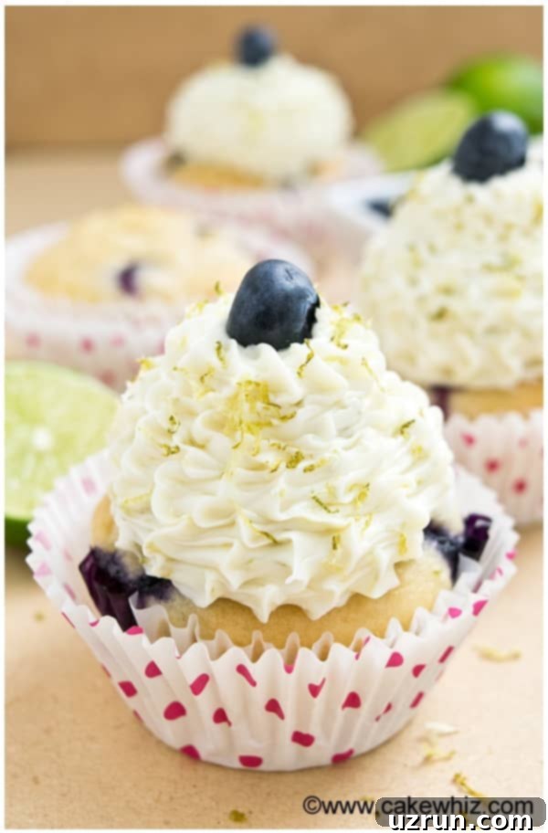 Berry Burst Cupcakes 4 Easy Blueberry Cupcakes Recipe