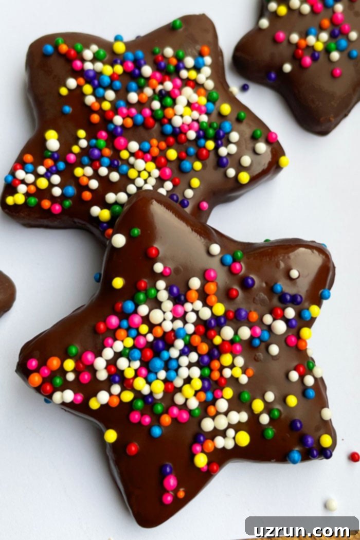 Effortless Gingersnap Cut Outs 4 Cut Out Star Shaped Chocolate Covered Ginger Cookies on White Background