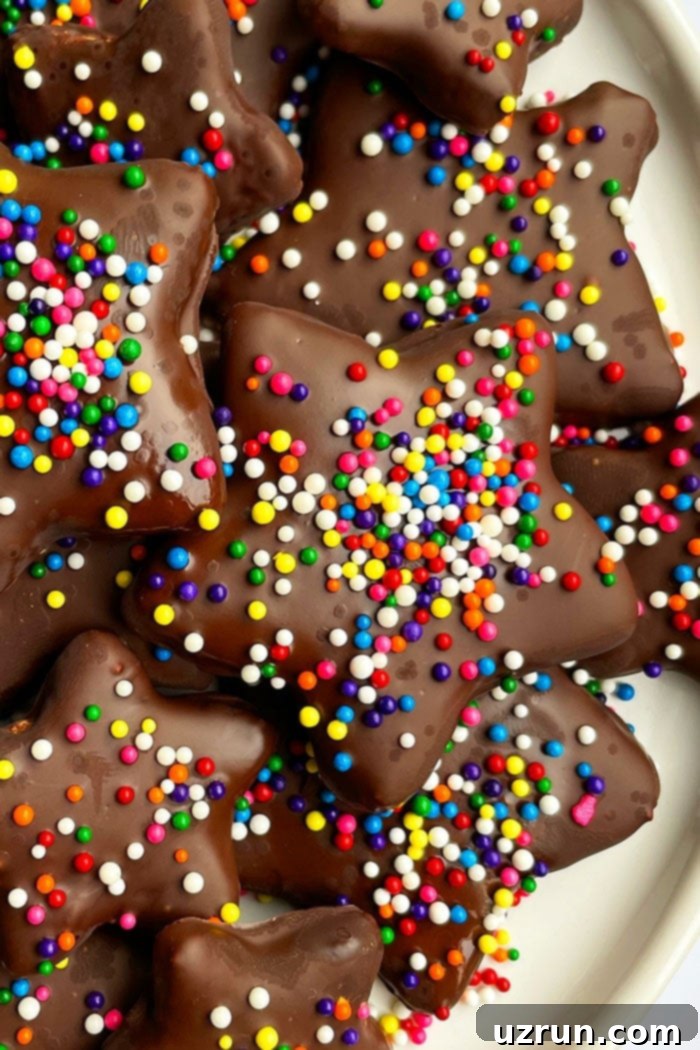 Effortless Gingersnap Cut Outs 5 Star Shaped Chocolate Spice Cookies With Sprinkles on White Background