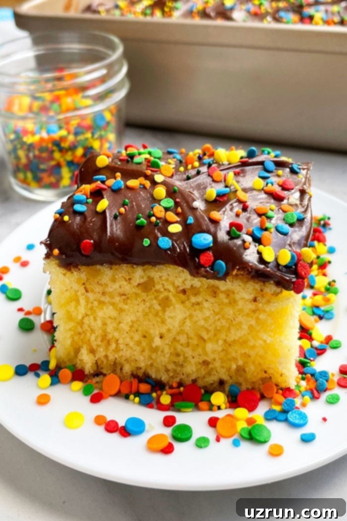 Classic Yellow Sheet Cake with Chocolate Frosting 2 Slice of Yellow Sheet Cake With Chocolate Frosting and Sprinkles on White Plate