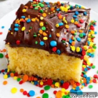 Classic Yellow Sheet Cake with Chocolate Frosting 3 Slice of Yellow Sheet Cake With Chocolate Frosting on White Plate