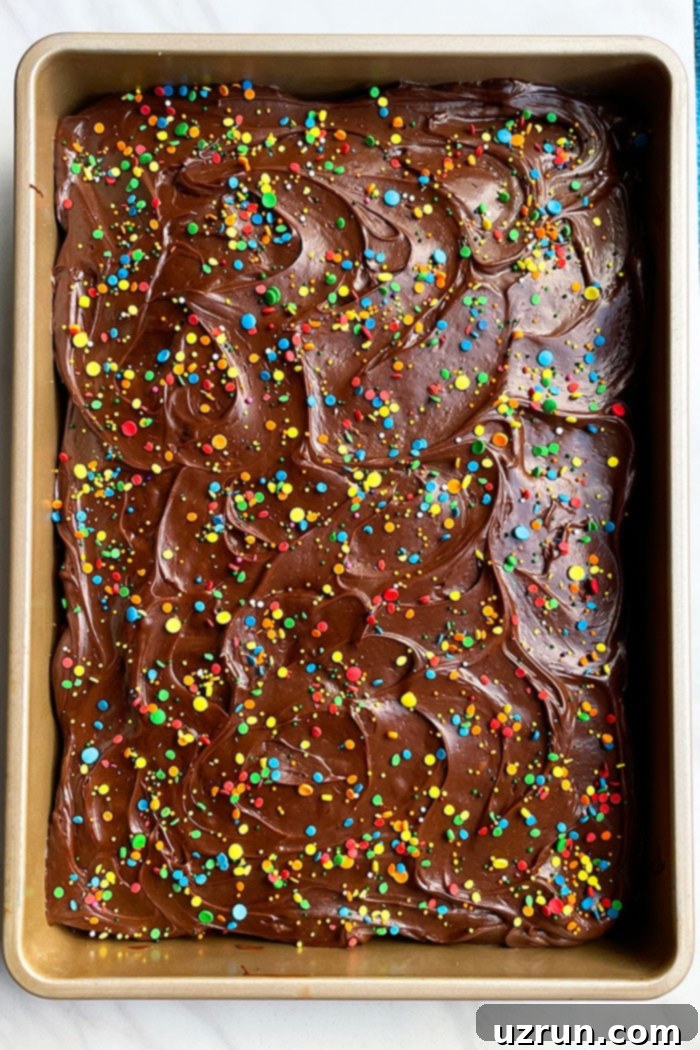 Classic Yellow Sheet Cake with Chocolate Frosting 4 Closeup Shot of Chocolate Frosting With Sprinkles- Overhead Shot