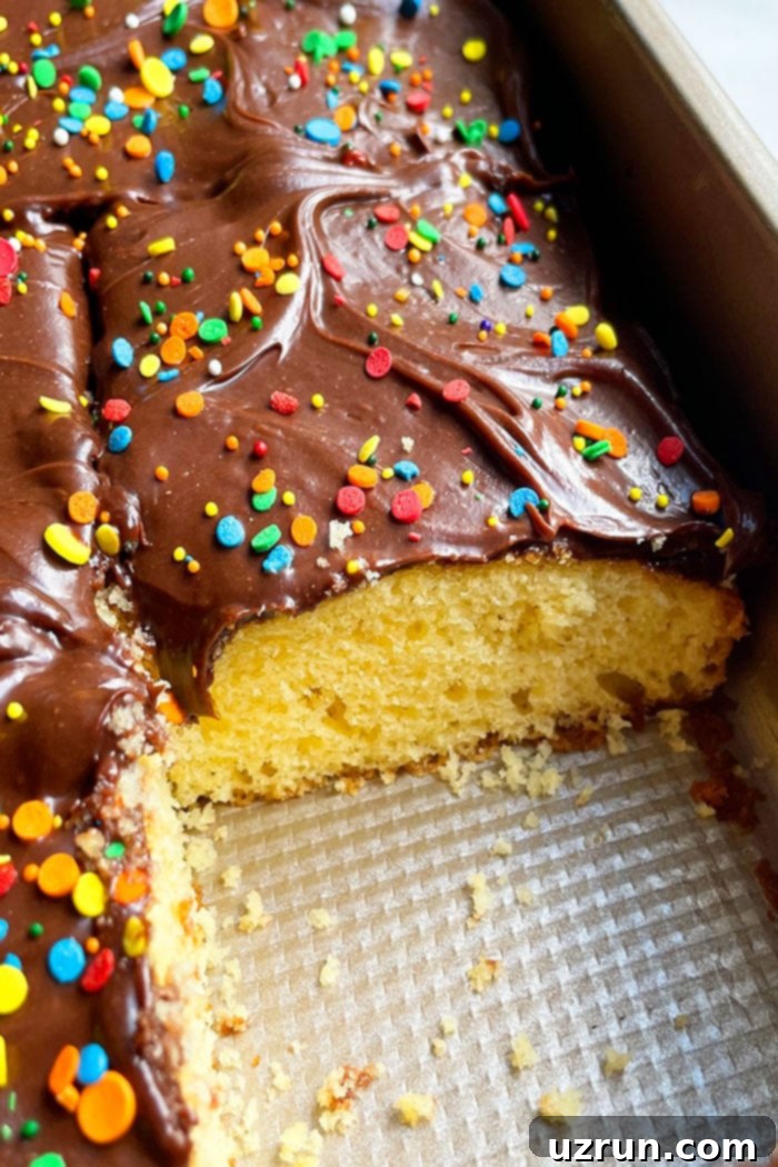 Classic Yellow Sheet Cake with Chocolate Frosting 5 Closeup Shot of Yellow Texas Sheet Cake With Chocolate Icing and Sprinkles in Pan