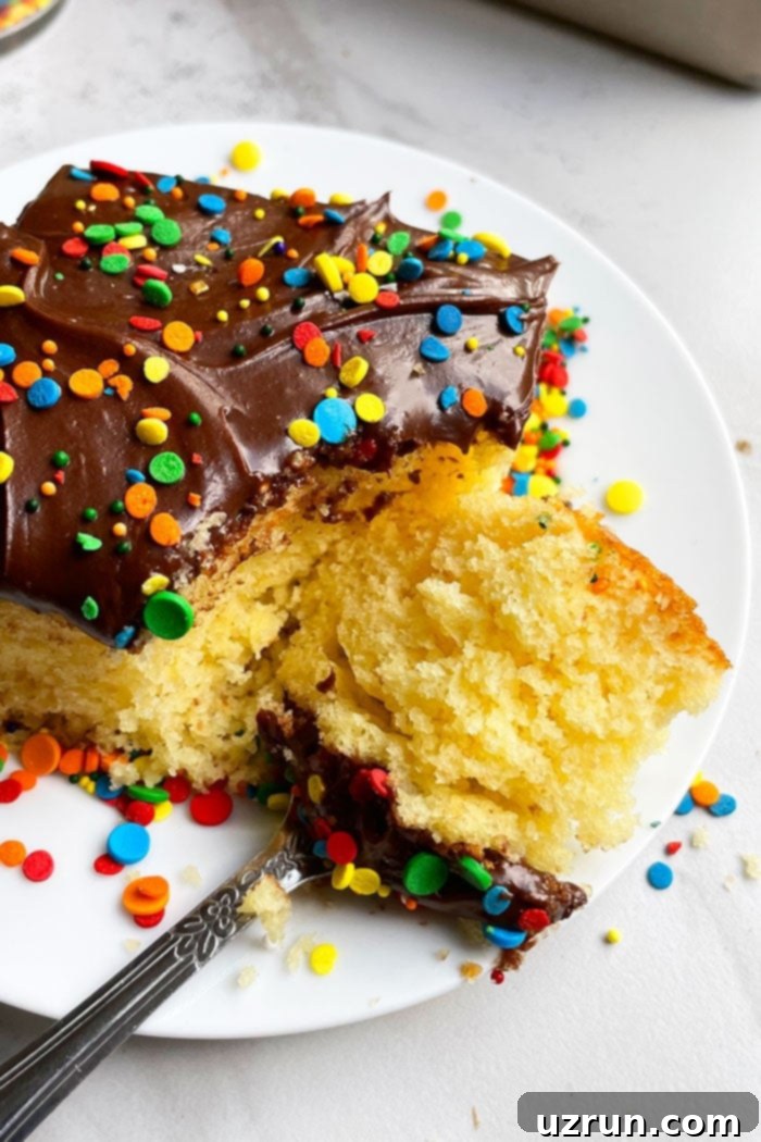 Classic Yellow Sheet Cake with Chocolate Frosting 6 Spoonful of Vanilla Cake in White Plate